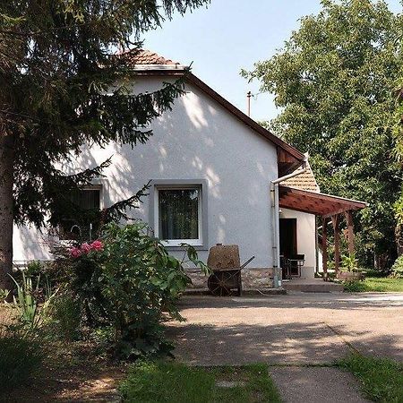 Borostyan 20 Vendeghaz Appartement Sárospatak Buitenkant foto